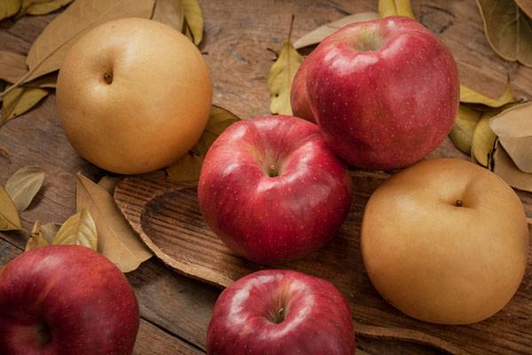 사진 = 클립아트코리아