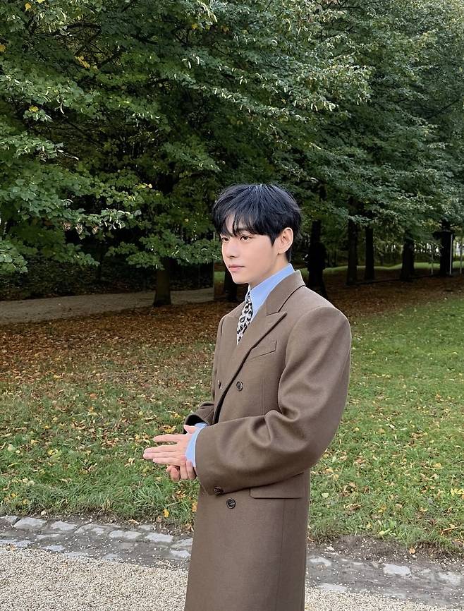 BTS' V (V's Instagram)