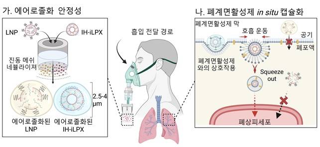 흡입 최적화 지질 나노 복합체의 mRNA 흡입 전달 전략 모식도 /사진=박지호 카이스트 교수