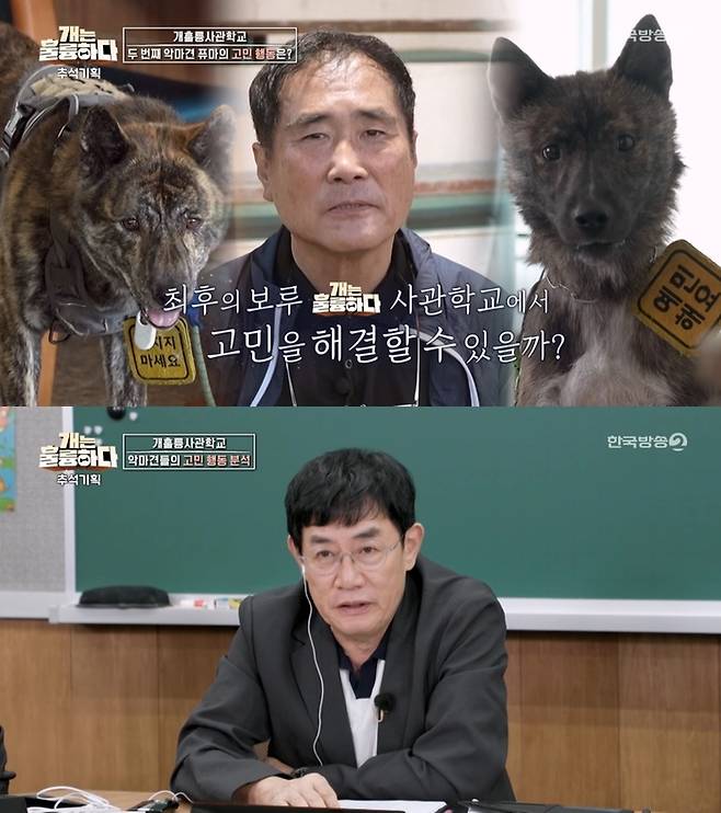 ‘개는 훌륭하다’. 사진 I KBS2 ‘개는 훌륭하다’ 방송 캡처