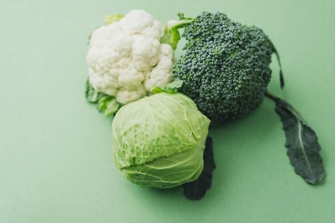 양배추와 브로콜리를 자주 섭취하면 혈당 관리에 도움이 된다. 사진=게티이미지뱅크