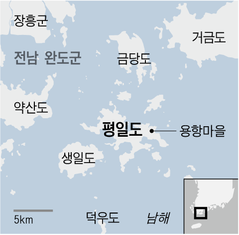 그래픽=이진영