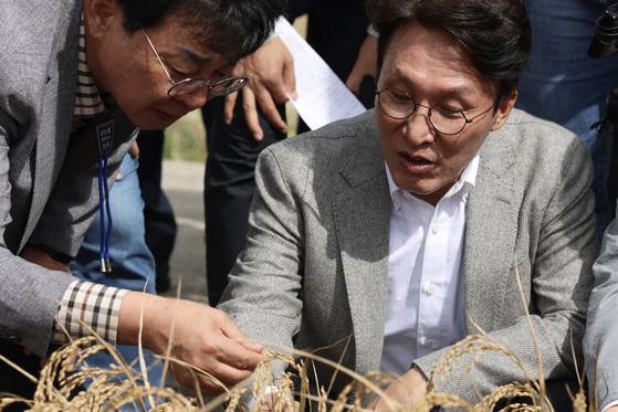 김민석 국무총리가 7일 오후 전남 장흥군 안양면 해창리 일원을 방문, ‘벼 깨씨무늬병’ 피해 현장을 점검하고 있다. 뉴스1