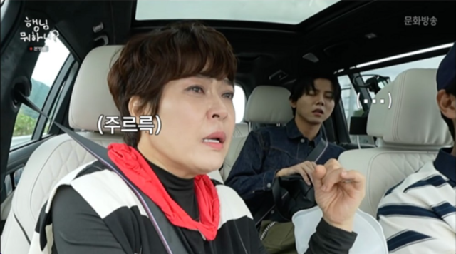 코미디언 조헤련. /MBC '행님 뭐하니?'