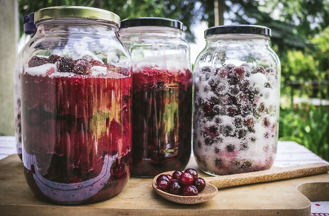 체리를 비롯해 자두, 포도, 호두, 꿀, 장미 등 다양한 재료로 만드는 라키야는 크로아티아 가정마다 고유한 비법이 있다. 알코올 도수는 50-65%에 달하는 강한 술이다. 사진제공|크로아티아관광청/CNTB