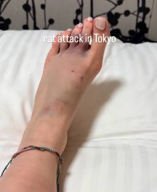 〈사진=인스타그램 캡처〉