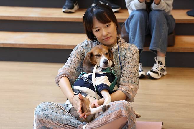 제2회 실험 비글 입양제가 열린 11일 오후 서울 중구의 행사장에서 십군이가 림프 마사지를 받고 있다. 김영원 기자 forever@hani.co.kr