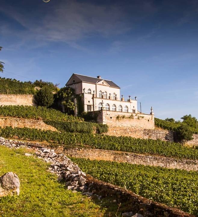 샤토 그리 전경. 홈페이지