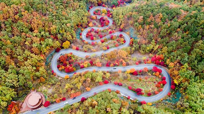 하늘에서 내려다 본 단양 고드넘이재(보발재)의 단풍.(단양군 제공)