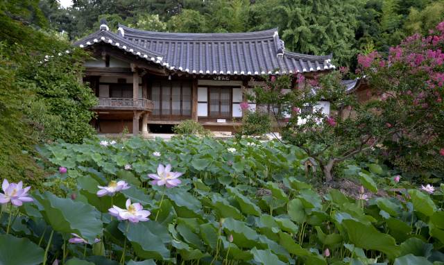 삼가헌 고택의 별당 하엽정에 풍경이 흐른다. 천원지방의 사상을 품은 정원은 삼가헌이 지닌 아름다움의 정수다. 매일신문 DB