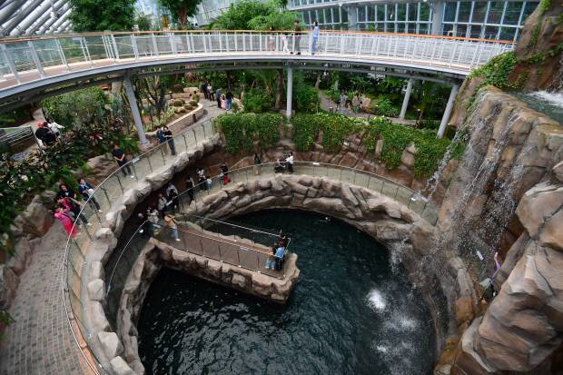 12일 포항시 북구 환호공원 식물원에서 시민과 관광객들이 연휴 마지막 날을 보내고 있다. 뉴스1