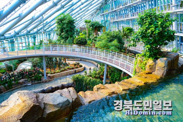 포항시 환호동에서 최근 개장한 환호공원식물원 내부 전경. 사진=포항시 제공