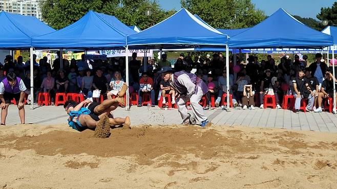 ▲ 고아읍민 씨름대회에서 혼신의 힘을 다한 선수들과 승패를 지켜보는 심판들. 이봉한기자