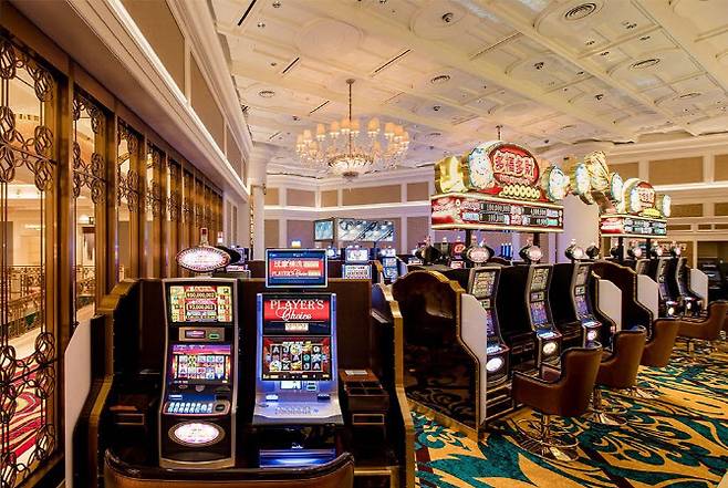 파라다이스 카지노 전경