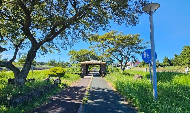 번영로 도시숲 (제주도 제공)