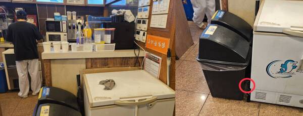 7일 오후 인천 한 PC방. 여러 자리를 닦은 행주가 빨지 않은 채 방치돼있다. 이 행주는 몇분 뒤 냉장고와 쓰레기통 사이 먼지 쌓인 틈으로 떨어지기도 했다. 박기웅기자