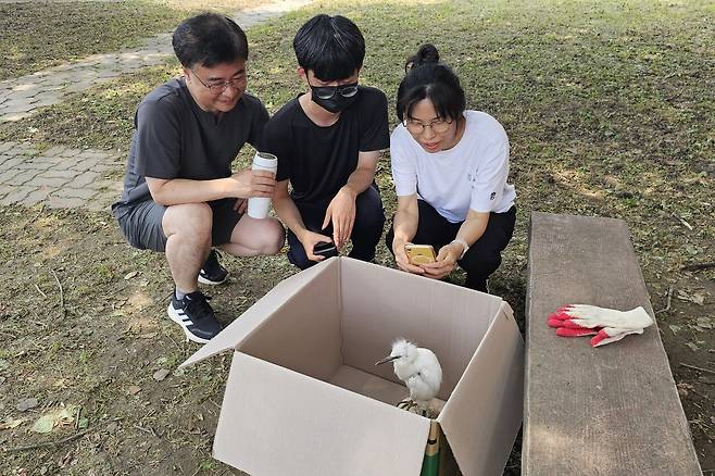 소년의 가족은 아기 백로를 야생동물구조센터로 무사히 보내주었다. ⓒ박임자 제공