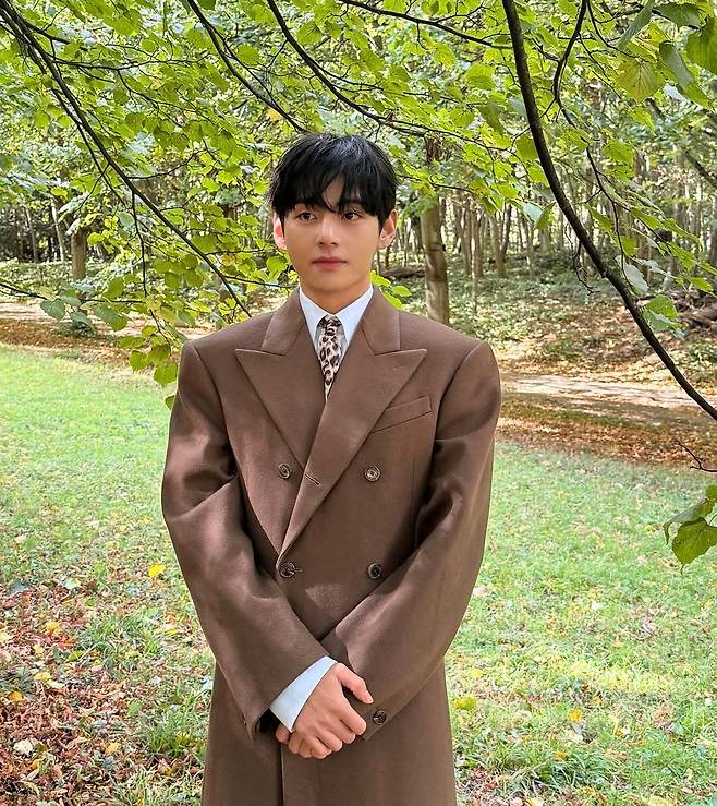 /사진=방탄소년단 뷔(BTS V) 인스타그램