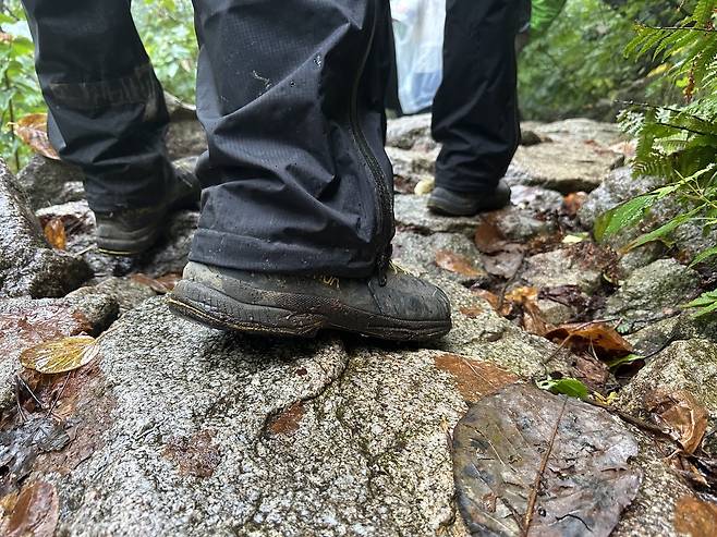 미끄러운 낙엽길과 진흙 길 속 닳고 닳은 신발 [촬영 강태현]