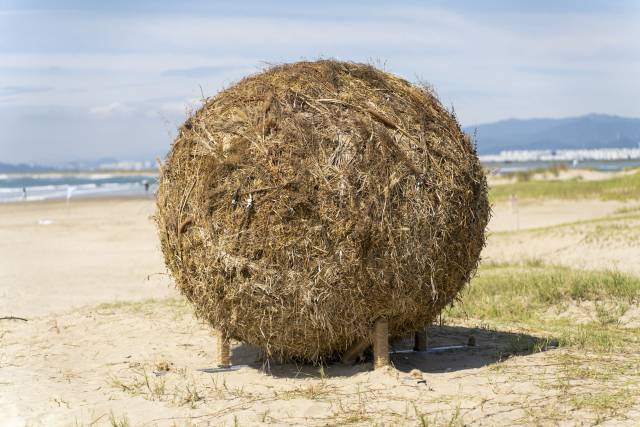 오미자 ‘공굴리기’(2025). 부산비엔날레조직위원회 제공
