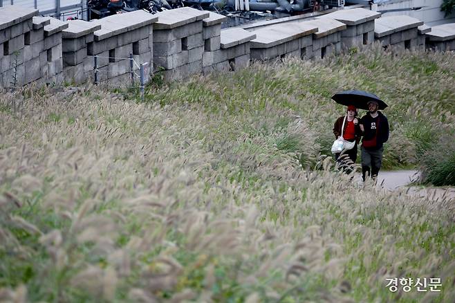 전국 대부분 지역에 비가 내린 13일 서울 종로구 흥인지문공원에서 외국인들이 수크령 우거진 성곽길을 걷고 있다.  문재원 기자