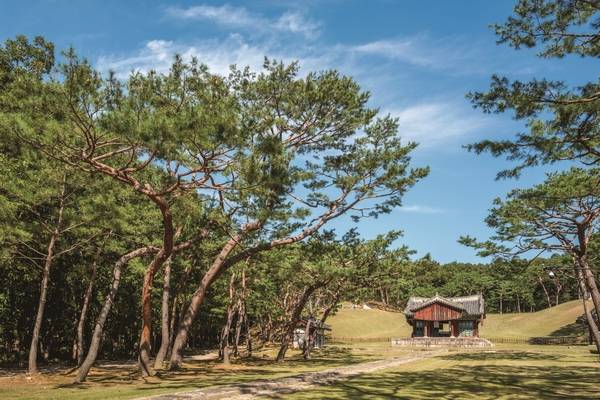 유네스코 세계유산과 함께 가을을 느낄 수 있는 서오릉.  /고양시 제공