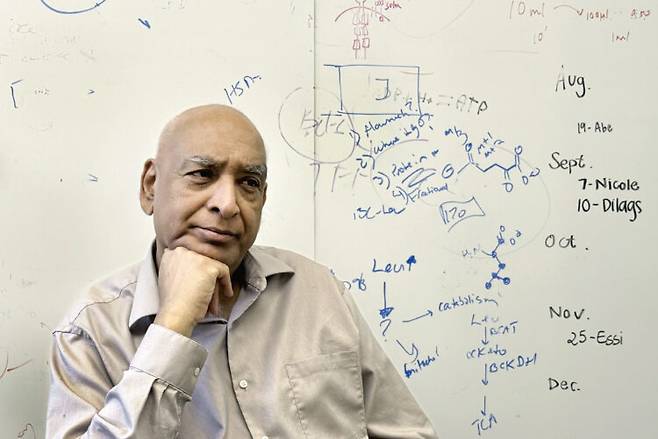 하버드대와 MIT가 공동으로 진행하는 의사과학자 양성 프로그램의 총책임자 시브 필라이 교수. 사진=장자원 기자