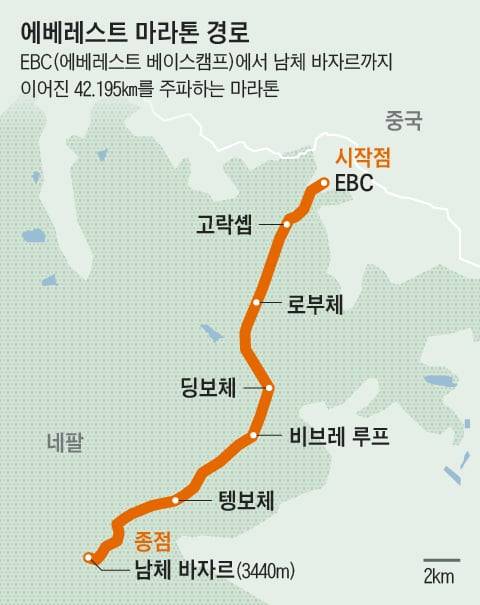 그래픽=조선디자인랩 이민경