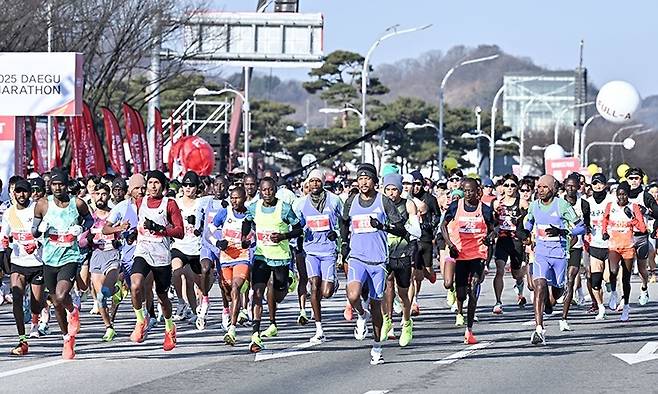 지난 2월 열린 ‘2025 대구마라톤대회’ 모습. 대구시 제공