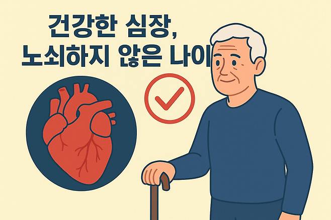 최근 발표된 논문 ‘미국 성인의 심혈관 건강과 허약함 간의 연관성’에서는 심장과 노쇠 사이에 역의 상관관계가 있음을 증명했다. 챗GPT 그림