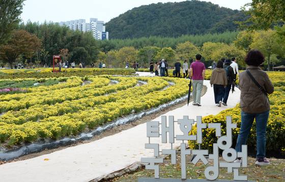 지난해 10월 울산 중구 태화강 국가정원일원에서 열린 '2024 태화강 국가정원 가을축제'의 모습. 뉴시스