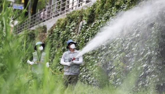 지난해 7월 경기도 수원시 팔달구 수원천에서 팔달구보건소 관계자들이 일본뇌염과 말라리아 등 모기 매개 질병 예방을 위해 방역을 하고 있다. 연합뉴스