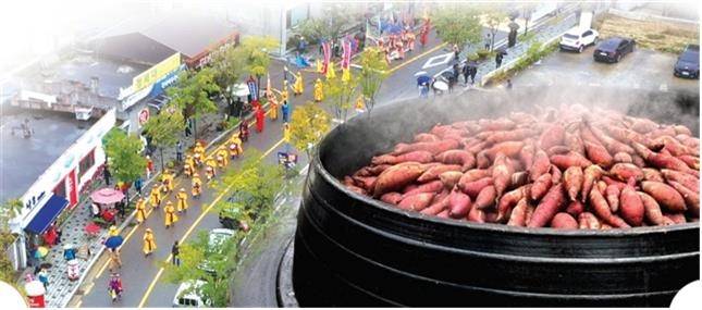 치악산 고구마 축제 홍보 이미지 [원주시 제공.재판매 및 DB 금지]
