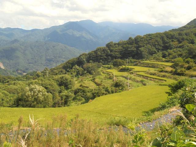 창원마을 다랑이. 멀리 구름속 천왕봉이 보인다.