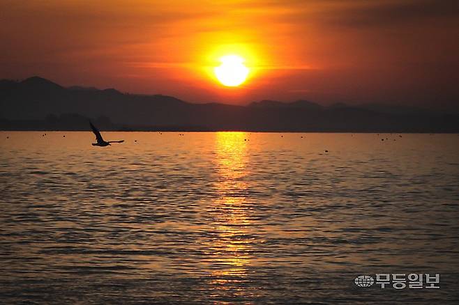 무안 9경-도리포 노을