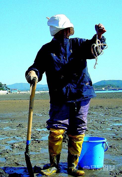 무안 9품- 낙지큰잔치