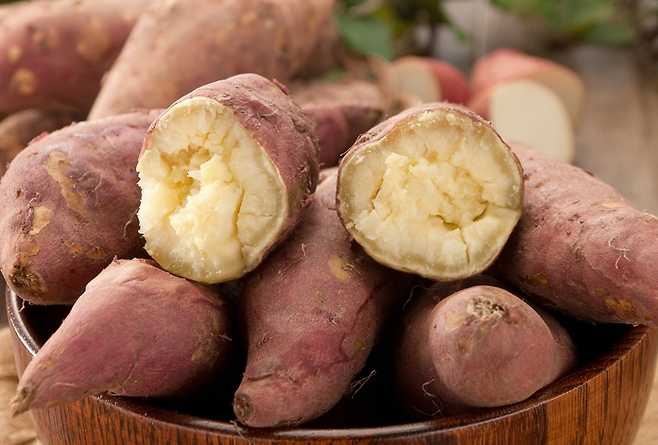 고구마는 조리법에 따라 당지수가 달라진다. 삶은 고구마나 생고구마는 당지수가 61 정도이다. 군고구마는 당지수가 1.5~2배 높아진다. 사진=게티이미지뱅크