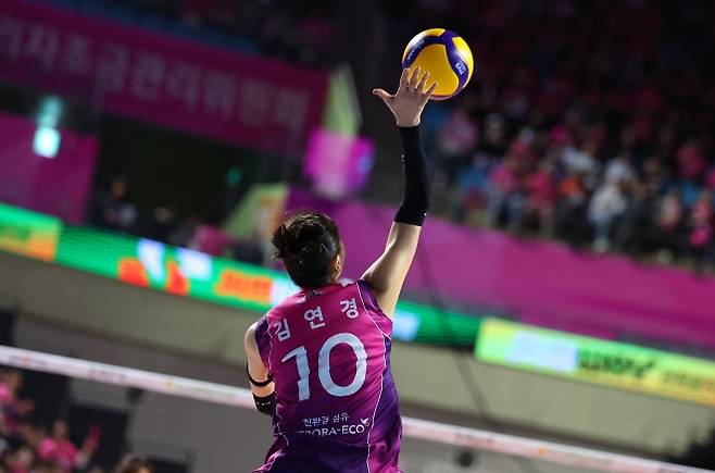 프로배구 V리그 여자부 흥국생명은 오는 18일 인천 삼산월드체육관에서 김연경 은퇴식을 열고 그가 사용했던 등번호 10번을 영구 결번으로 정한다고 14일 밝혔다. 사진은 지난 4월 2024~25 챔피언결정 5차전 흥국생명과 정관장 경기에서 김연경이 서브하는 모습. 연합뉴스