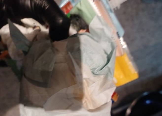 식사 후 자리를 떠난 손님이 테이블 위에 온갖 쓰레기와 사용한 기저귀까지 버리고 간 사연이 전해지며 공분을 사고 있다. 네이버 카페 ‘아프니까 사장이다’ 캡처