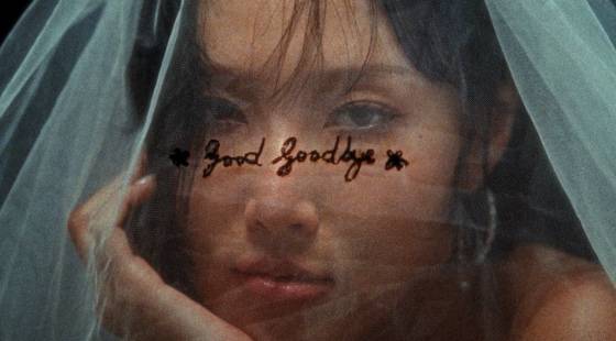 /사진제공=피네이션