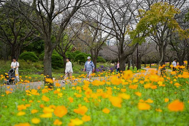 16일 인천 서구 드림파크 야생화단지 풍경. 사진=수도권매립지공사