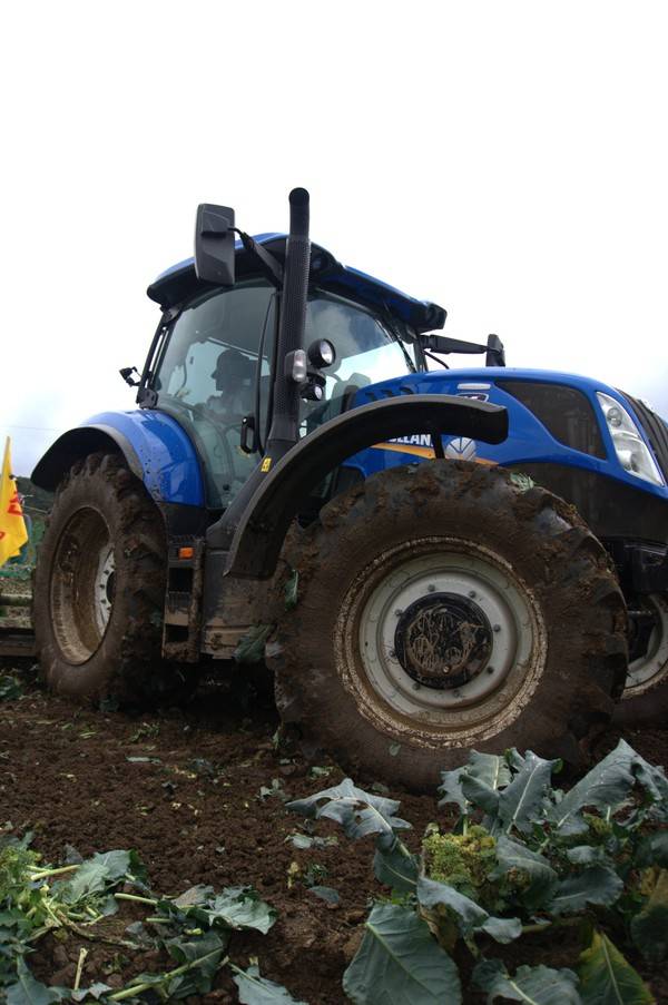 ▲ 16일 오전 청주시 상당구 미원면 기암리의 한 배추밭에서 농민이 트랙터에 올라 손수 키운 브로콜리를 직접 갈아엎고 있다. 이날 폐기한 브로콜리는 배추무름병에 걸려 수확이 어려운 상태다. 사진=강준식 기자&nbsp;kangjs@cctoday.co.kr