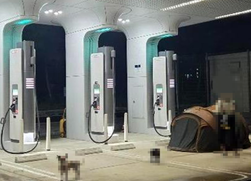 ◇강원특별자치도 양양군 하조대 해수욕장 인근 전기차 충전소에서 한 여성이 목줄을 하지 않은 자신의 반려견 두마리와 함께 캠핑을 하고 있는 모습. 사진=온라인 커뮤니티 보배드림 캡처.