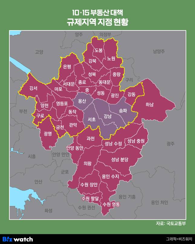 10·15 부동산대책 규제지역 지정 현황/그래픽=비즈워치