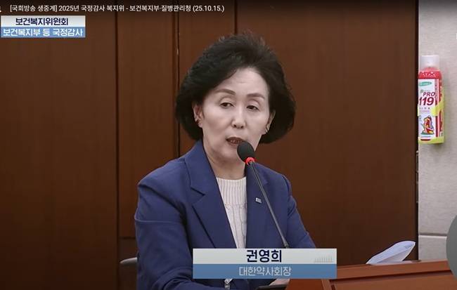 대한약사회 권영희 회장이 국회 보건복지위원회 국정감사에 참고인으로 참석해 참고형 약국 확산에 대한 우려와 정부 차원의 규제 및 관리 방안 마련을 촉구하고 있다. /사진=국회방송 유튜브 캡쳐