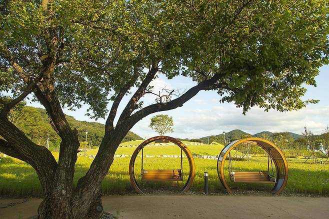 안성 금광호수 수석정 수변화원은 계절에 따라 유채꽃, 황화 코스모스, 백일홍 등 다양한 꽃이 피어 사람들에게 여유를 선물한다. 경기관광공사 제공