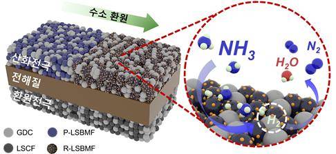 암모니아 연료 고체산화물 연료전지의 반응 메커니즘 모식도. 암모니아(NH₃)는 전극에 들어와 수소와 질소로 분해된 뒤 수소가 산소와 반응해 전기를 만든다. 이때 바륨이 포함된 철 입자가 촉매로 작용해 질소를 떼어내는 반응을 빠르게 해 전체 효율을 높인다. 포스텍 제공