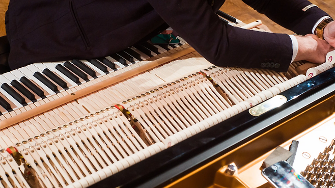 올해 콩쿠르에서는 미국과 독일에 거점을 둔 피아노 회사 스타인웨이(Steinway) 두 대를 비롯해, 일본의 야마하(Yamaha), 시게루 가와이(Sigeru Kawai), 이탈리아의 파지올리(Fazioli), 그리고 독일의 C. 베히슈타인(C. Bechstein)이 협찬 브랜드로 나섰다. (자료 : 쇼팽 콩쿠르 홈페이지)