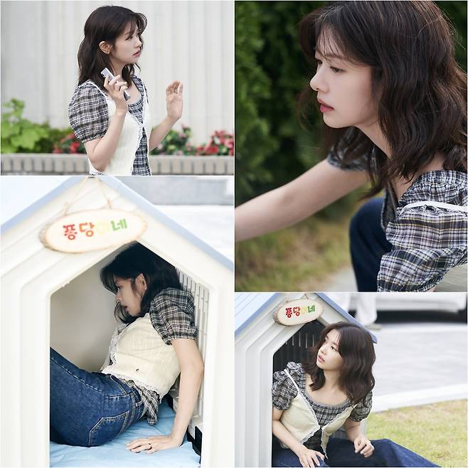 iMBC 연예뉴스 사진