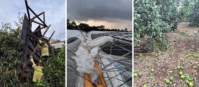 (화면제공: 한대헌 서귀포 남원읍 태흥1리 이장, 제주도소방안전본부)